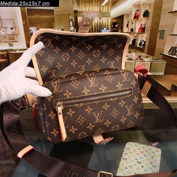 Bolsa Louis Vuitton - Imagem 6