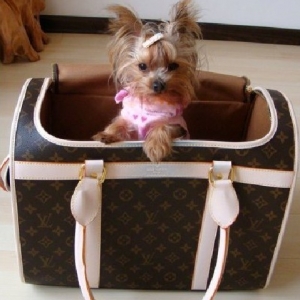 Bolsa Transporte de Cães e Gatos Louis Vuitton