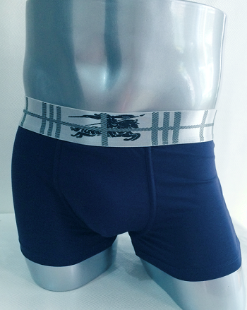 Burberry underwear 2019 sale