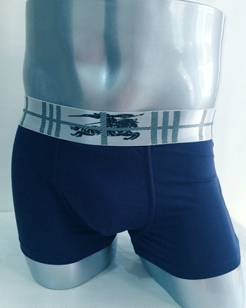 Burberry Cueca Box Boxer Underwear Burberry - Grandes Grifes