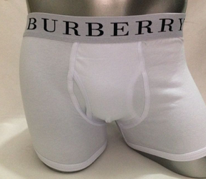 Burberry Cueca Box Boxer Underwears Burberry