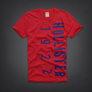 Camiseta Hollister
