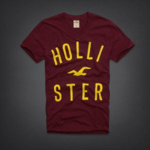 Camiseta Hollister
