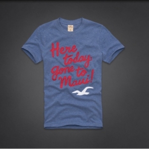 Camiseta Hollister