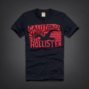 Camiseta Hollister