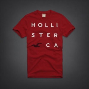 Camiseta Hollister