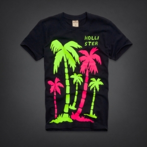 Camiseta Hollister