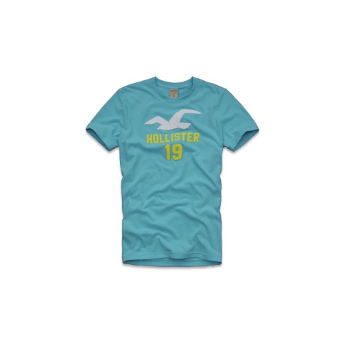 Camiseta Hollister