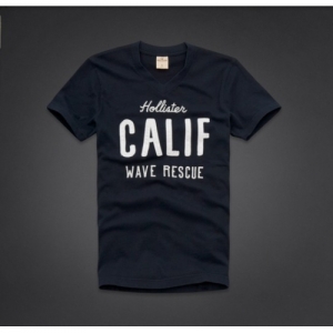 Camiseta Hollister