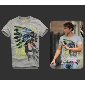 Camiseta Hollister