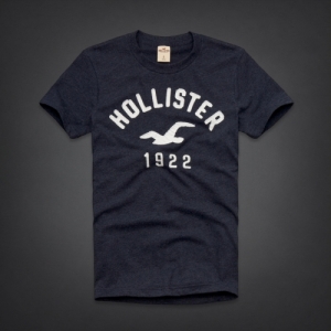 Camiseta Hollister