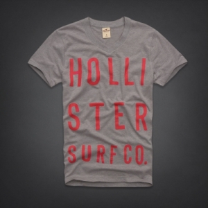 Camiseta Hollister