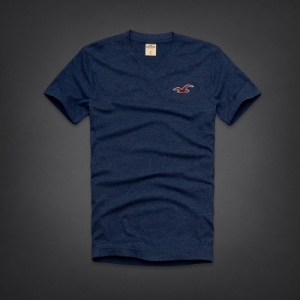 Camiseta Hollister
