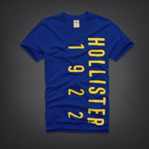 Camiseta Hollister