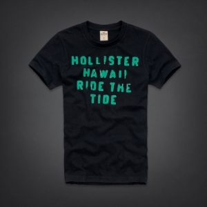 Camiseta Hollister