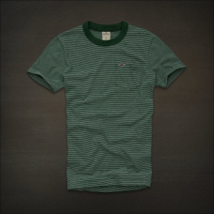 Camiseta Hollister