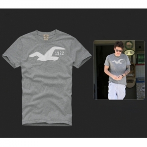 Camisetas Hollister