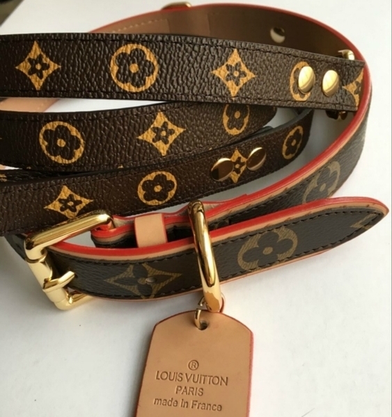 Coleira com Guia para Cães Louis Vuitton