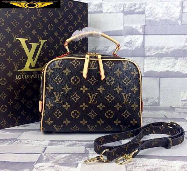 Louis Vuitton Bolsas de Couro louis Vuitton - Imagem 5